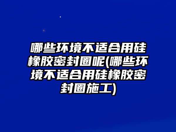 哪些環(huán)境不適合用硅橡膠密封圈呢(哪些環(huán)境不適合用硅橡膠密封圈施工)