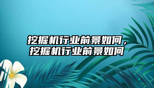 挖掘機(jī)行業(yè)前景如何，挖掘機(jī)行業(yè)前景如何