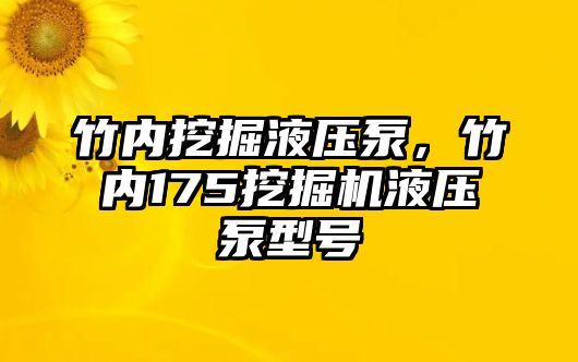 竹內(nèi)挖掘液壓泵，竹內(nèi)175挖掘機(jī)液壓泵型號(hào)