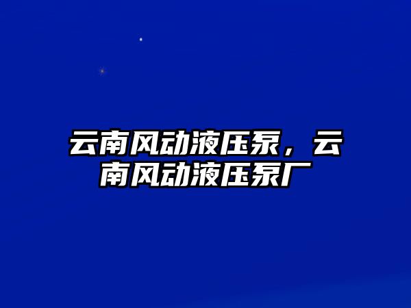 云南風(fēng)動液壓泵，云南風(fēng)動液壓泵廠