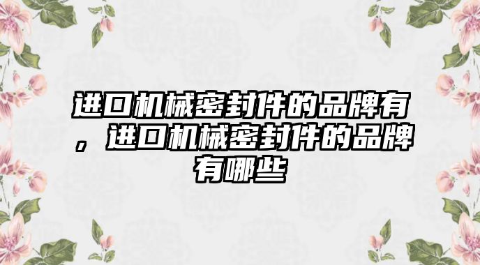 進(jìn)口機(jī)械密封件的品牌有，進(jìn)口機(jī)械密封件的品牌有哪些