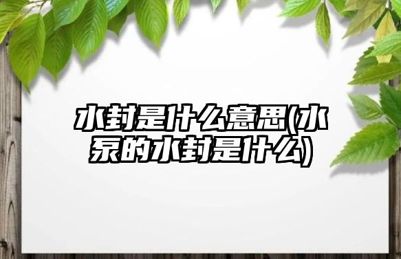 水封是什么意思(水泵的水封是什么)