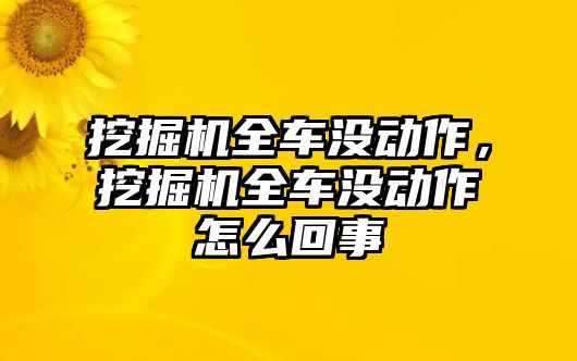 挖掘機(jī)全車沒動作，挖掘機(jī)全車沒動作怎么回事