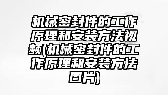 機械密封件的工作原理和安裝方法視頻(機械密封件的工作原理和安裝方法圖片)