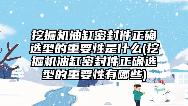 挖掘機油缸密封件正確選型的重要性是什么(挖掘機油缸密封件正確選型的重要性有哪些)