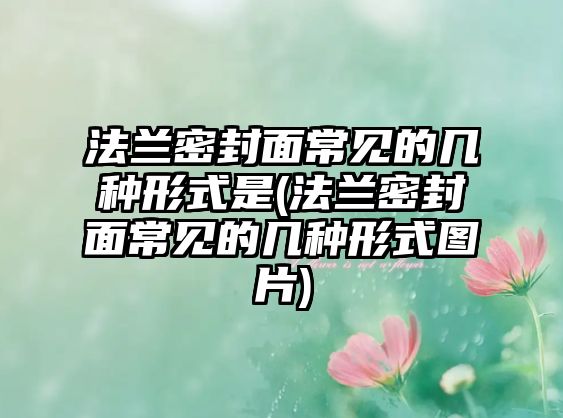 法蘭密封面常見的幾種形式是(法蘭密封面常見的幾種形式圖片)