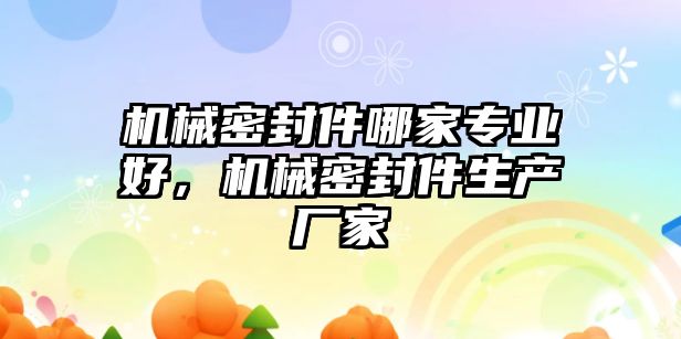 機械密封件哪家專業(yè)好，機械密封件生產(chǎn)廠家