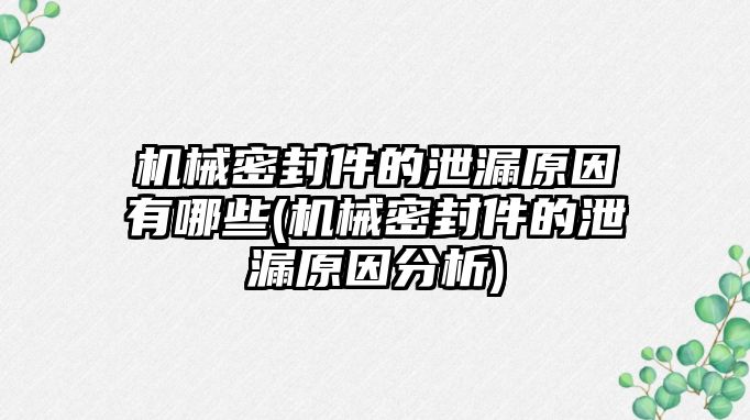 機(jī)械密封件的泄漏原因有哪些(機(jī)械密封件的泄漏原因分析)