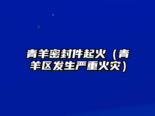 青羊密封件起火（青羊區(qū)發(fā)生嚴重火災(zāi)）