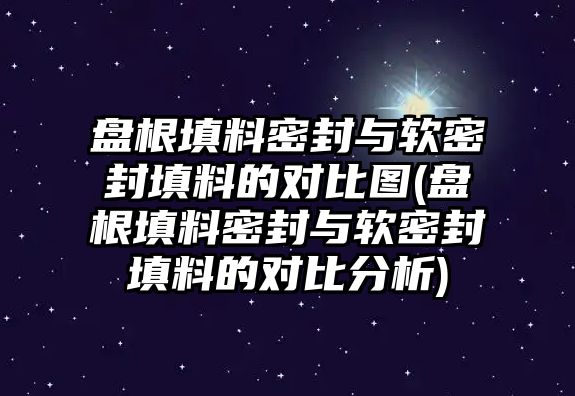 盤根填料密封與軟密封填料的對比圖(盤根填料密封與軟密封填料的對比分析)