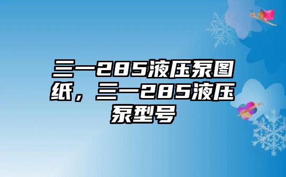 三一285液壓泵圖紙，三一285液壓泵型號(hào)