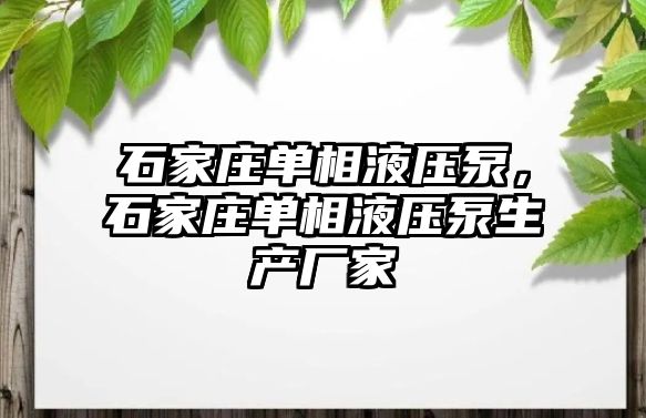 石家莊單相液壓泵，石家莊單相液壓泵生產(chǎn)廠家