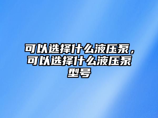 可以選擇什么液壓泵，可以選擇什么液壓泵型號(hào)