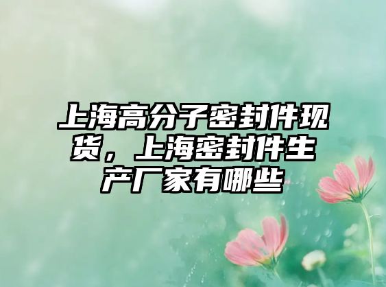 上海高分子密封件現(xiàn)貨，上海密封件生產(chǎn)廠家有哪些