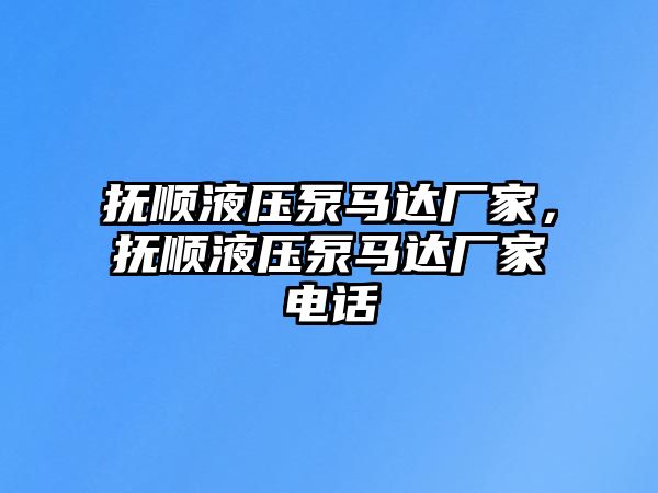 撫順液壓泵馬達廠家，撫順液壓泵馬達廠家電話