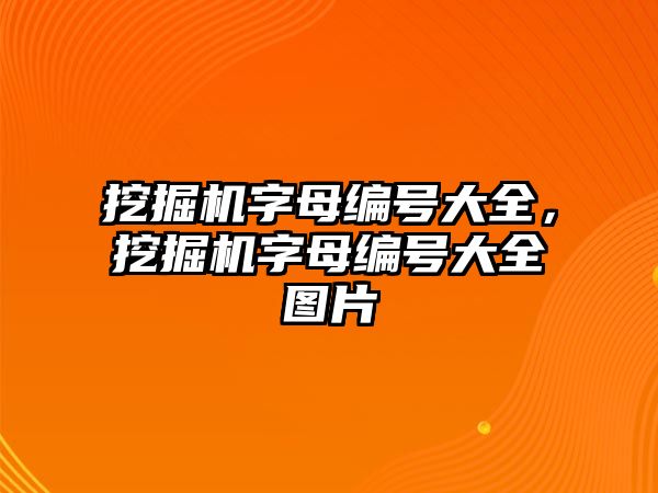 挖掘機字母編號大全，挖掘機字母編號大全圖片