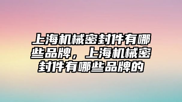 上海機(jī)械密封件有哪些品牌，上海機(jī)械密封件有哪些品牌的