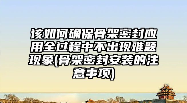 該如何確保骨架密封應用全過程中不出現(xiàn)難題現(xiàn)象(骨架密封安裝的注意事項)