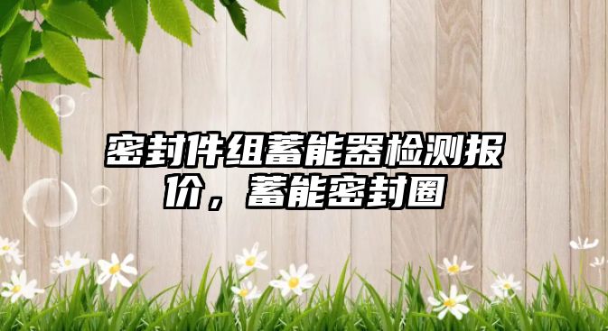 密封件組蓄能器檢測(cè)報(bào)價(jià)，蓄能密封圈