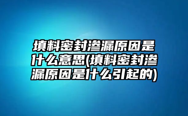 填料密封滲漏原因是什么意思(填料密封滲漏原因是什么引起的)