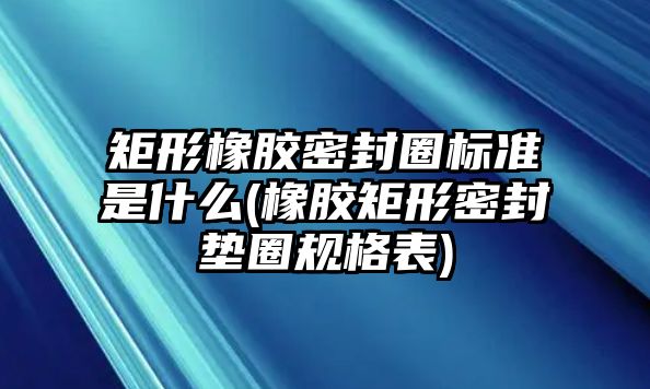 矩形橡膠密封圈標準是什么(橡膠矩形密封墊圈規(guī)格表)