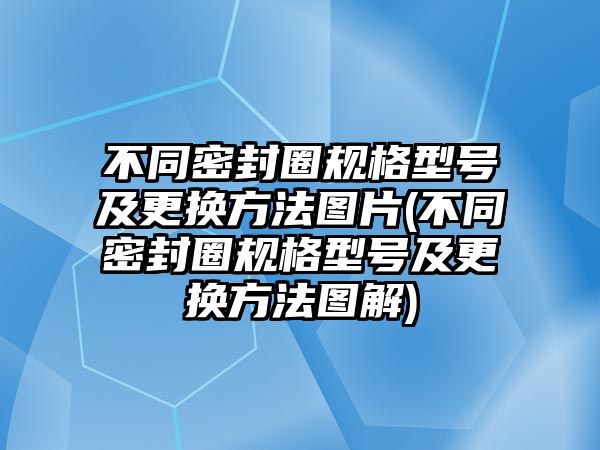 不同密封圈規(guī)格型號(hào)及更換方法圖片(不同密封圈規(guī)格型號(hào)及更換方法圖解)