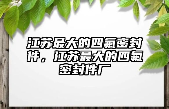 江蘇最大的四氟密封件，江蘇最大的四氟密封件廠