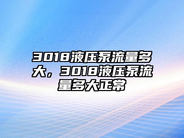 3018液壓泵流量多大，3018液壓泵流量多大正常