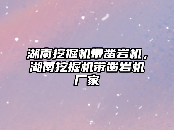 湖南挖掘機帶鑿巖機，湖南挖掘機帶鑿巖機廠家