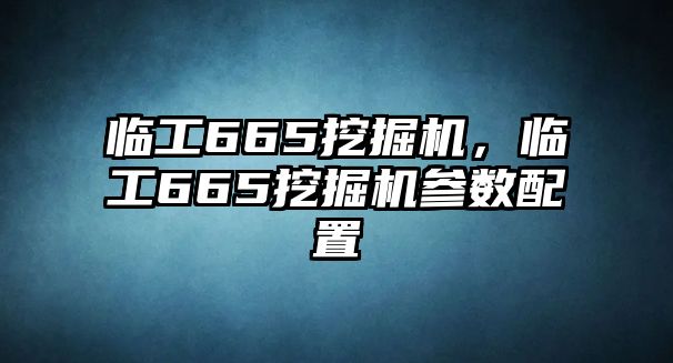 臨工665挖掘機，臨工665挖掘機參數(shù)配置