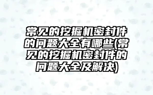 常見的挖掘機(jī)密封件的問題大全有哪些(常見的挖掘機(jī)密封件的問題大全及解決)