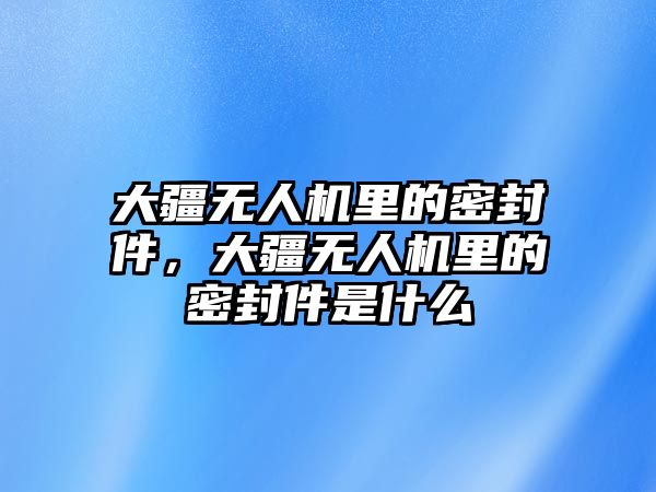 大疆無人機(jī)里的密封件，大疆無人機(jī)里的密封件是什么