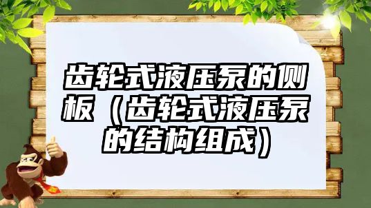 齒輪式液壓泵的側(cè)板（齒輪式液壓泵的結(jié)構(gòu)組成）