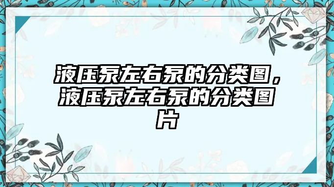 液壓泵左右泵的分類圖，液壓泵左右泵的分類圖片