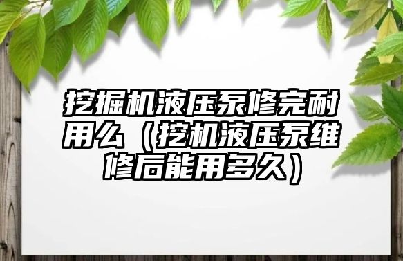 挖掘機液壓泵修完耐用么（挖機液壓泵維修后能用多久）