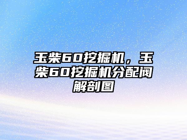 玉柴60挖掘機，玉柴60挖掘機分配閥解剖圖