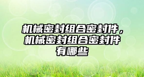 機(jī)械密封組合密封件，機(jī)械密封組合密封件有哪些