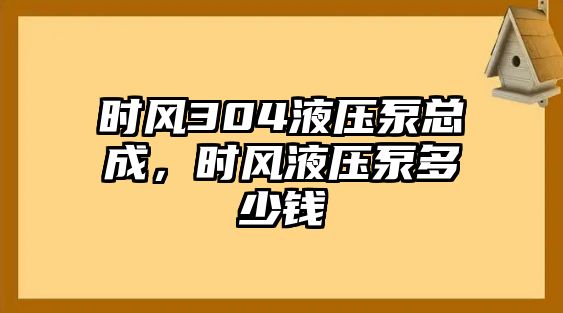 時風304液壓泵總成，時風液壓泵多少錢