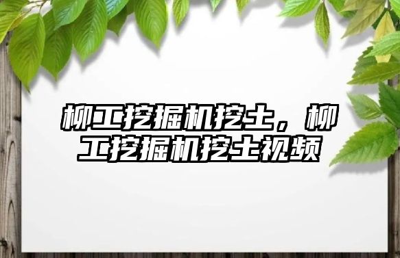 柳工挖掘機(jī)挖土，柳工挖掘機(jī)挖土視頻