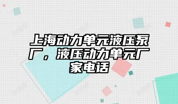 上海動力單元液壓泵廠，液壓動力單元廠家電話