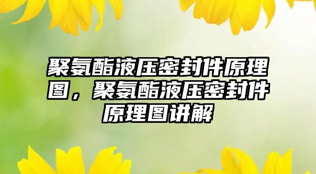 聚氨酯液壓密封件原理圖，聚氨酯液壓密封件原理圖講解