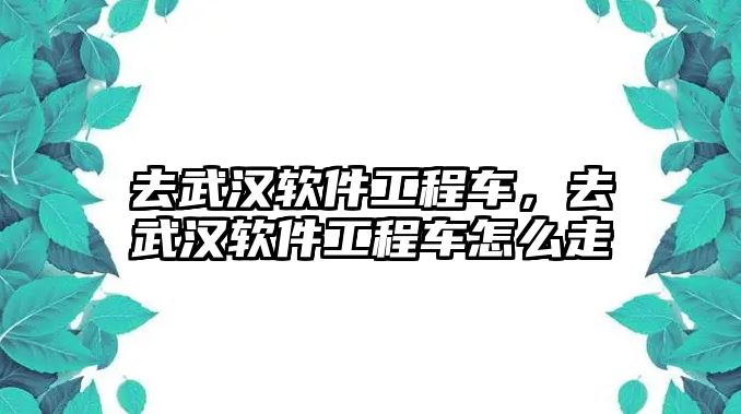 去武漢軟件工程車，去武漢軟件工程車怎么走