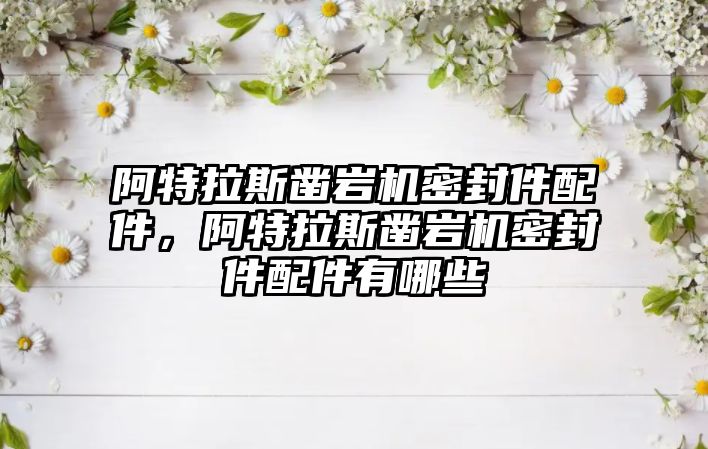 阿特拉斯鑿巖機密封件配件，阿特拉斯鑿巖機密封件配件有哪些