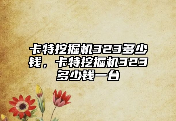 卡特挖掘機323多少錢，卡特挖掘機323多少錢一臺