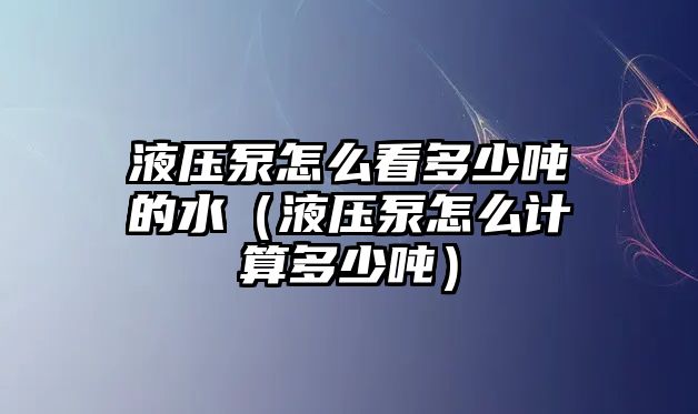 液壓泵怎么看多少噸的水（液壓泵怎么計算多少噸）