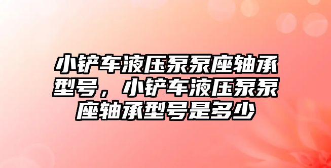 小鏟車液壓泵泵座軸承型號，小鏟車液壓泵泵座軸承型號是多少