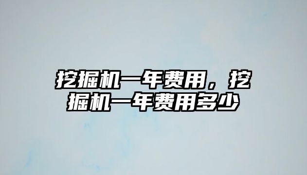 挖掘機一年費用，挖掘機一年費用多少