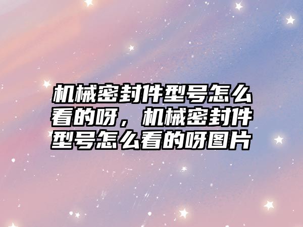 機械密封件型號怎么看的呀，機械密封件型號怎么看的呀圖片