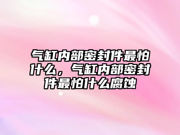 氣缸內(nèi)部密封件最怕什么，氣缸內(nèi)部密封件最怕什么腐蝕