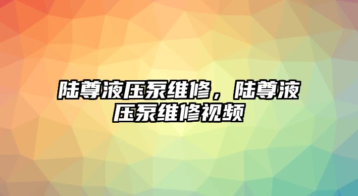 陸尊液壓泵維修，陸尊液壓泵維修視頻